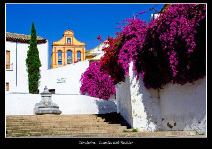 Centro Historico Cristo De Los Faroles La Preferida Cordoba Dış mekan fotoğraf